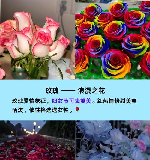 送给长辈的花有哪些特别寓意？