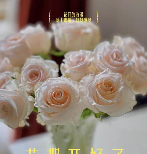哪种花象征着爱情中的勇敢？它的花语是什么？