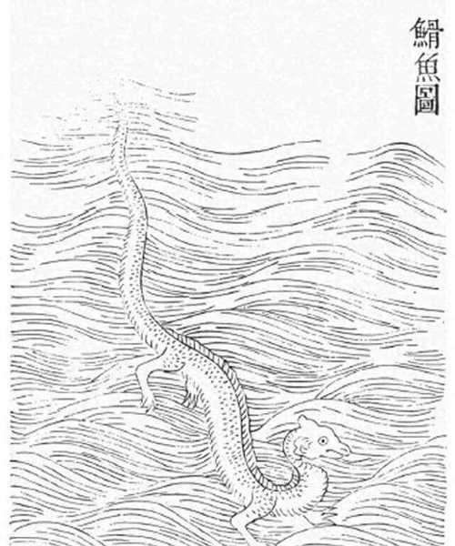 三花五罗在传统文化中的含义是什么？如何理解三花五罗？