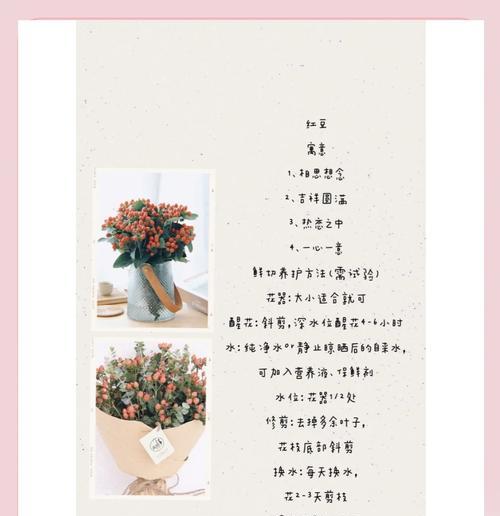 全是红豆的手捧花寓意是什么？