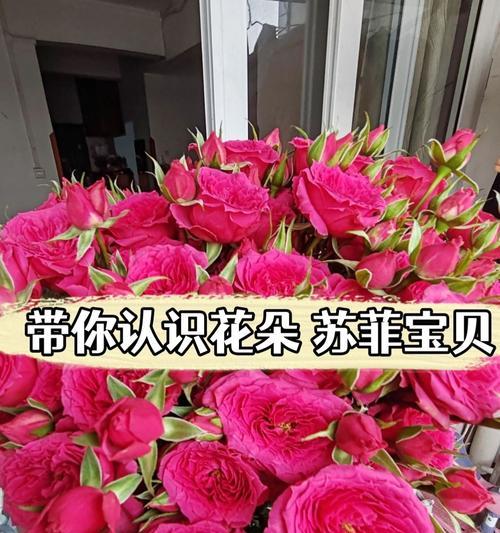 中间一朵红色花的含义是什么？红色花在花束中的象征意义是什么？