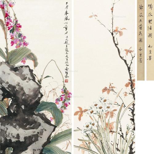 豆蔻花在文化中象征着什么？