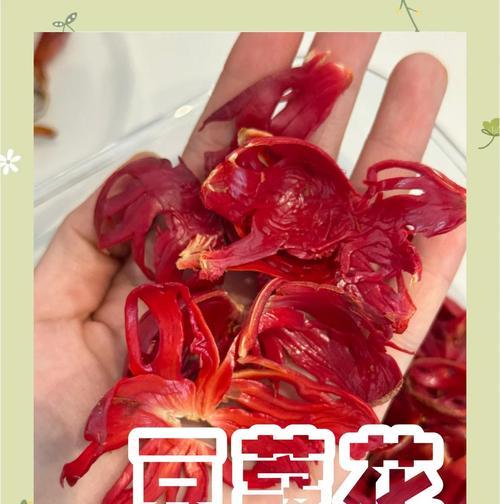 豆蔻花在文化中象征着什么？
