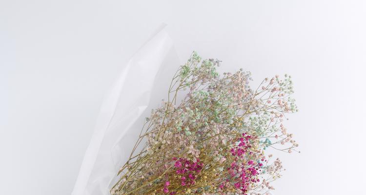 寓意长寿的花材有哪些？它们在花艺中如何应用？