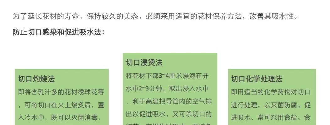 寓意长寿的花材有哪些？它们在花艺中如何应用？