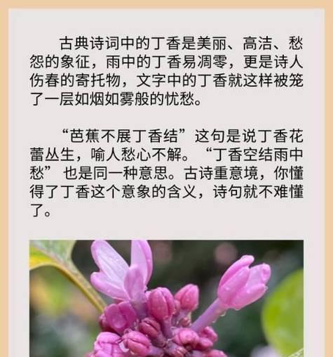 哪些诗句中的花含有祝福的含义？花的诗句如何表达祝福？