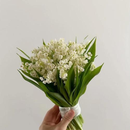 手捧花代表的幸福花语是什么？