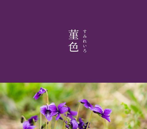 一花两色的寓意和象征是什么？