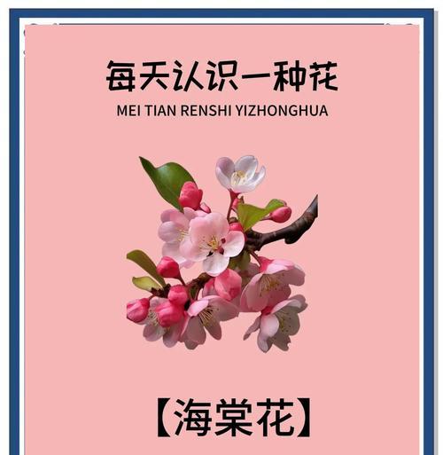 送粉色花的寓意是什么？