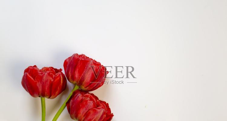 三朵红色花代表什么？红色花的象征意义有哪些？