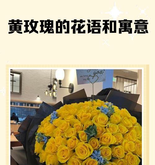 玫瑰颜色代表花语？不同颜色玫瑰的含义是什么？