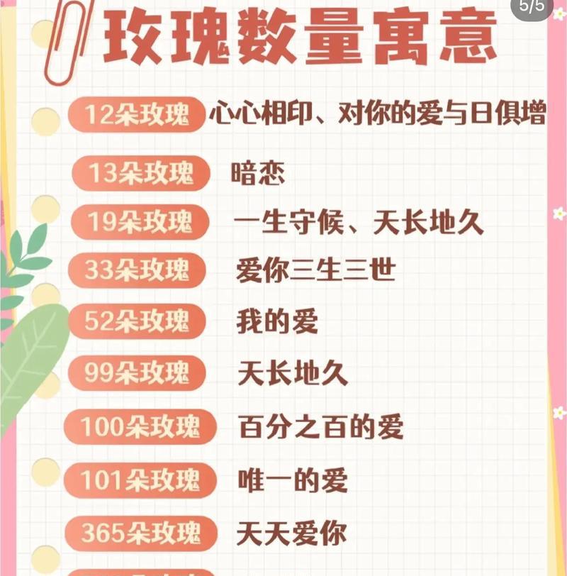 玫瑰颜色代表花语？不同颜色玫瑰的含义是什么？
