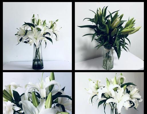 四支白色百合花的寓意是什么？