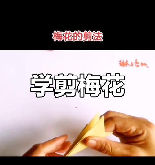 六瓣花象征好运幸福吗？六瓣花的寓意是什么？