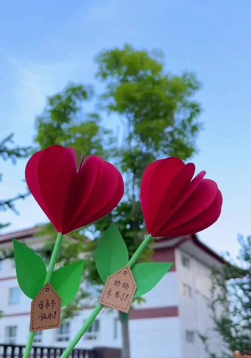 母亲节送两枝花代表什么？