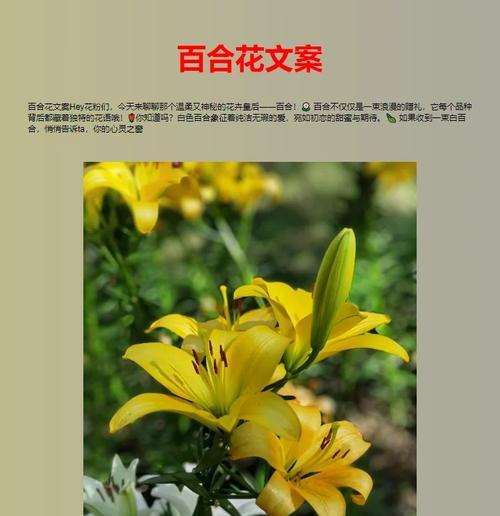 绿色花的寓意是什么？送给朋友有何特别含义？