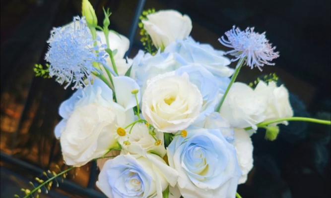 四簇花手捧花有何寓意？手捧花的象征意义是什么？