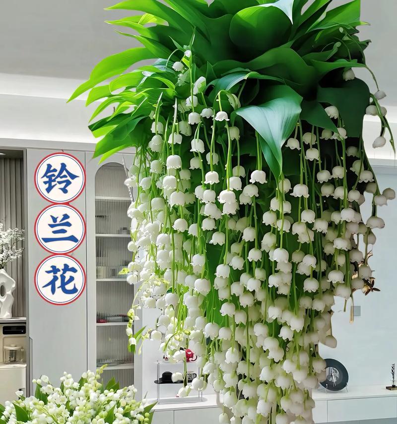 四簇花手捧花有何寓意？手捧花的象征意义是什么？
