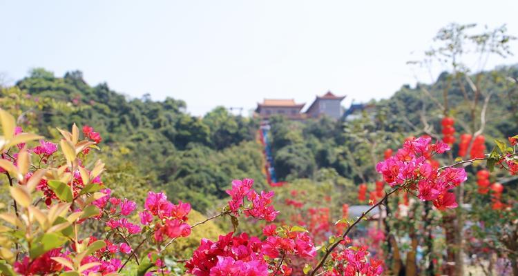 花朝节的来历是什么？花朝节的寓意有哪些？