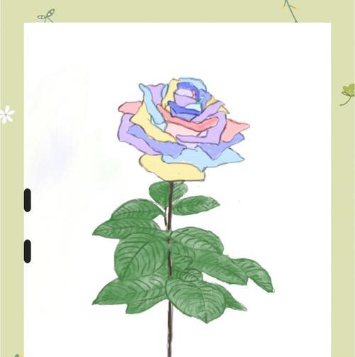 情人节玫瑰花有哪些花语？玫瑰在情人节的特殊含义是什么？