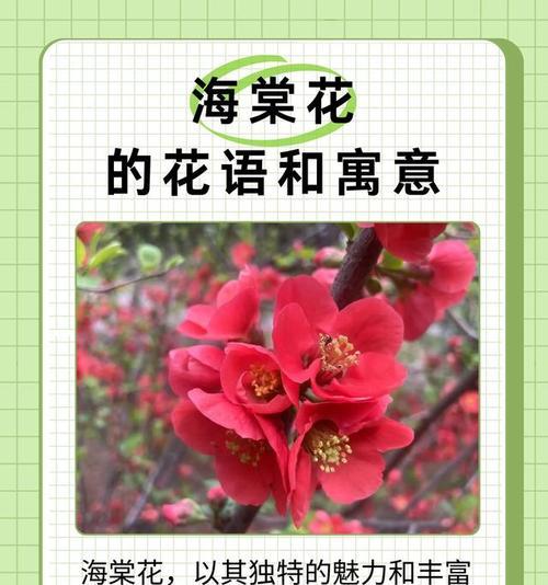 花来富贵的寓意是什么？花来富贵的象征意义有哪些？