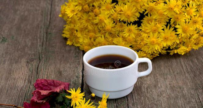 黄色花杯子象征着什么？这种花的寓意是什么？