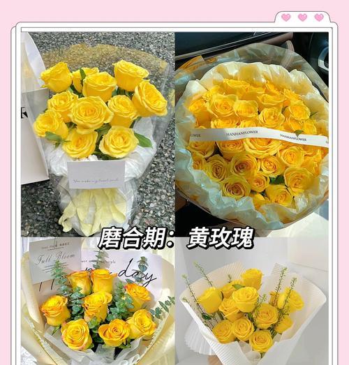 爱情之花的意义是什么？如何选择？