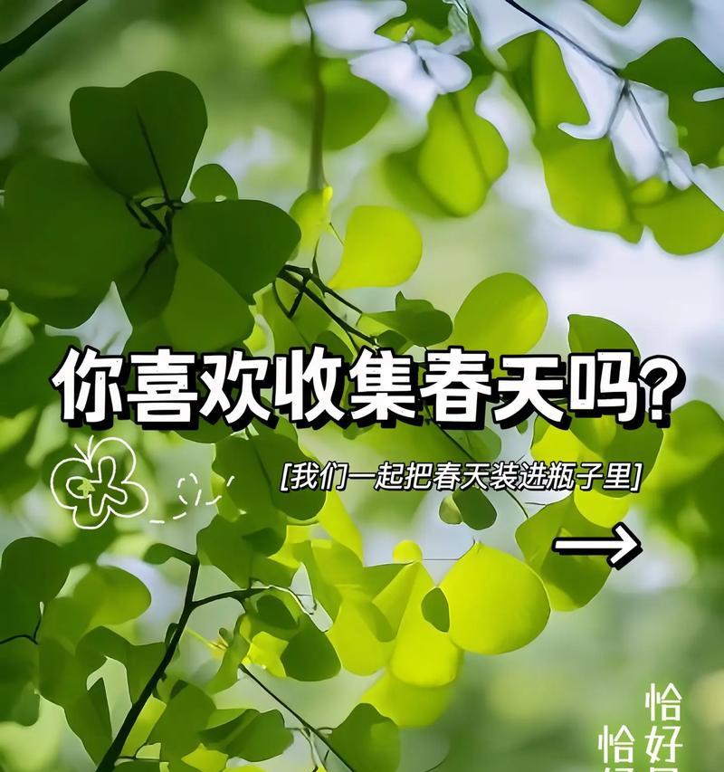 永生花绿色的寓意是什么？绿色永生花象征着什么？