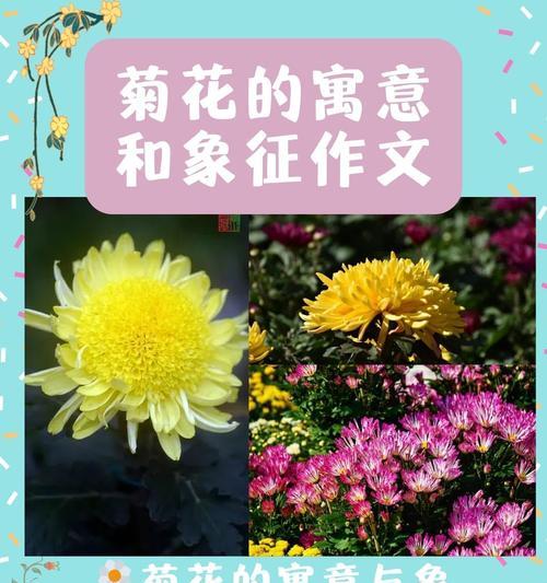 云和花组合的吉祥寓意是什么？花卉在文化中的象征意义有哪些？