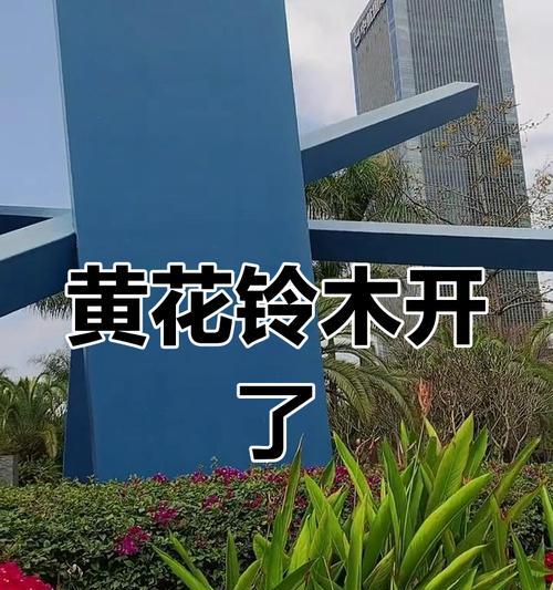 黄色铃铛花的寓意是什么？它象征着什么？