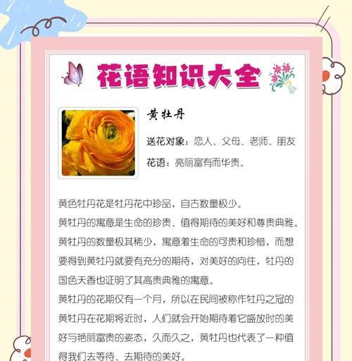 母亲节送七朵花有什么意义？它们的花语是什么？
