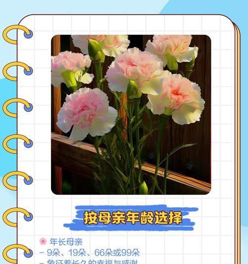 母亲节送七朵花有什么意义？它们的花语是什么？
