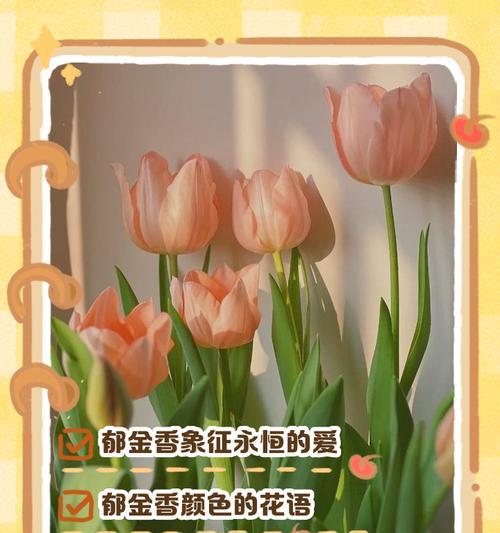 母亲节送七朵花有什么意义？它们的花语是什么？