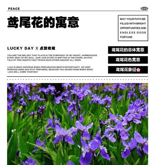 绿色的花代表什么意义？它有哪些特别的寓意？