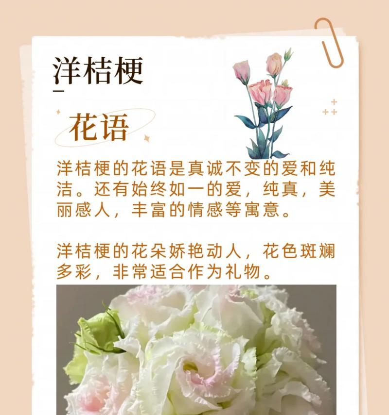 美国教师节送什么花最合适？花语表达了怎样的敬意？