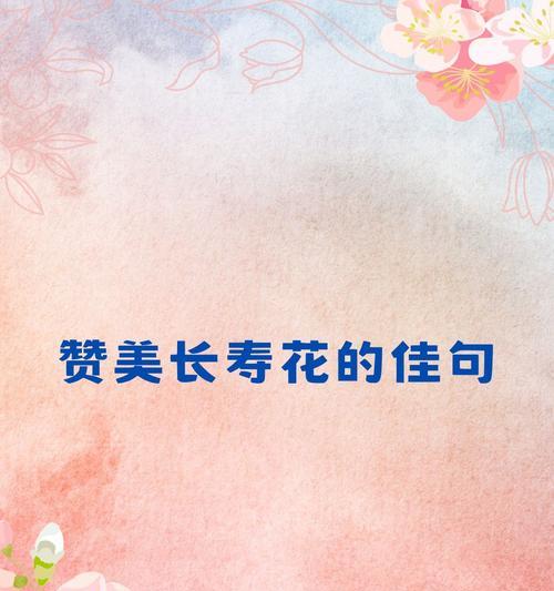 长寿花送人代表什么？长寿花的花语有哪些？