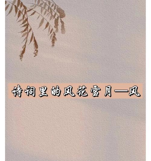 风花节的意义和象征是什么？风花节的花卉文化有哪些？