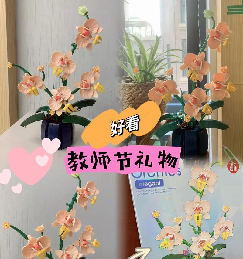 教师节送的花有什么寓意？哪种花最适合教师节？
