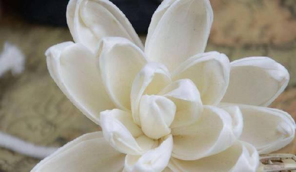 给老人戴花有何特殊寓意？老人戴花的传统意义是什么？