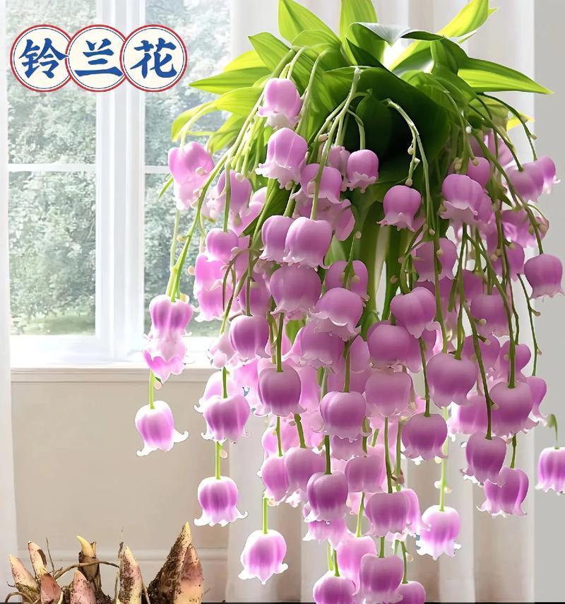 手捧花中玫瑰和铃兰的寓意是什么？
