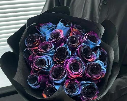 情人节送玫瑰花有何特殊寓意？