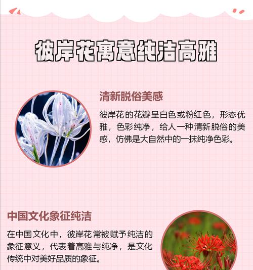 古代爱情花有哪些？它们的寓意是什么？