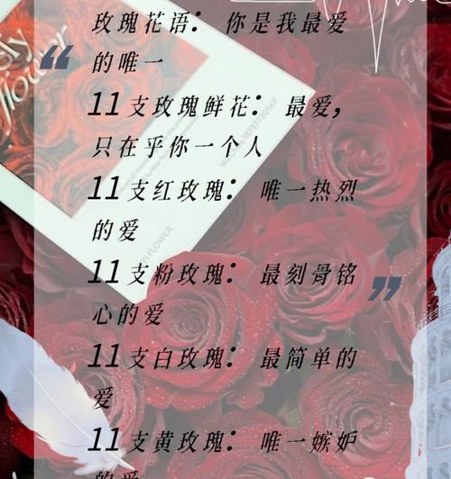 玫瑰花颜色的寓意是什么？玫瑰花语有哪些？