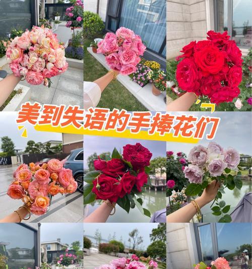 手捧花有哪些不同的寓意？选择时应注意什么？