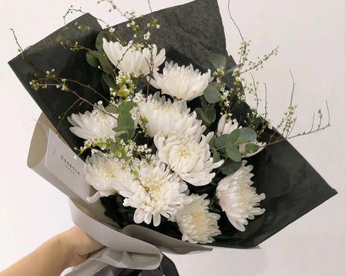 重阳节送什么花给父母？这样的花有何特别含义？