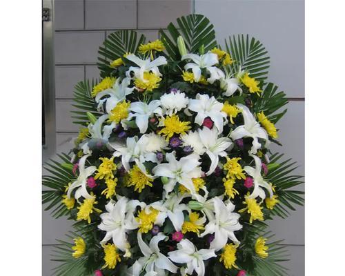 重阳节送什么花给父母？这样的花有何特别含义？