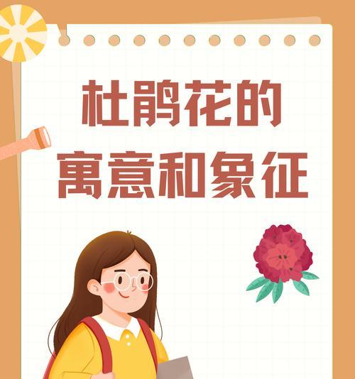 关于爱情花的寓意是什么？它们各自代表什么？