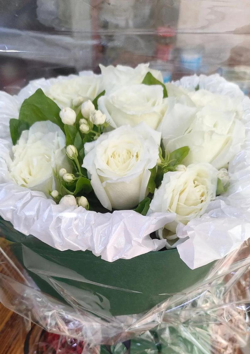 白色茉莉花代表什么？送茉莉花的意义是什么？