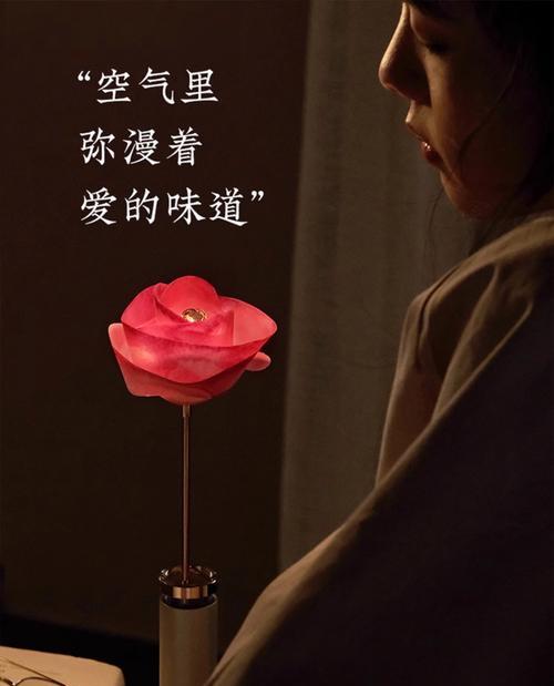 永生花的寓意可以用哪些诗词表达？