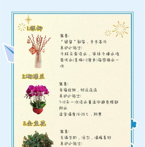 春节的花的寓意是什么？如何选择？